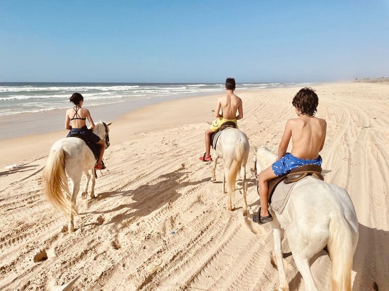 bea305f1 328f 4f4d 80c0 000bf3a5a79b